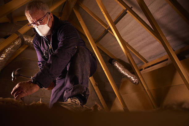 Best Eco-Friendly Insulation in Bladenboro, NC
